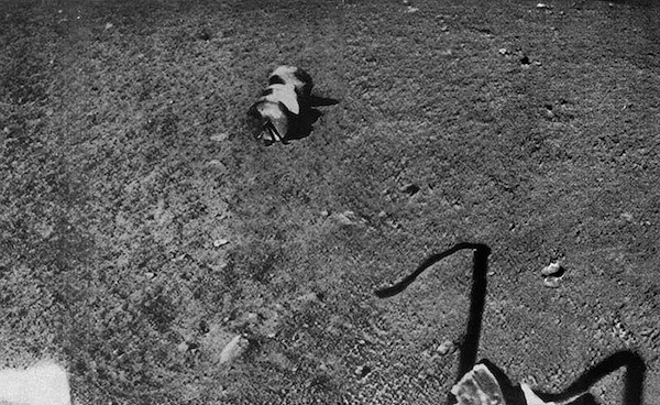 宇宙人の落とし物 50年前の探査機が撮影した月面の写真に写る謎の物体 リアルライブ