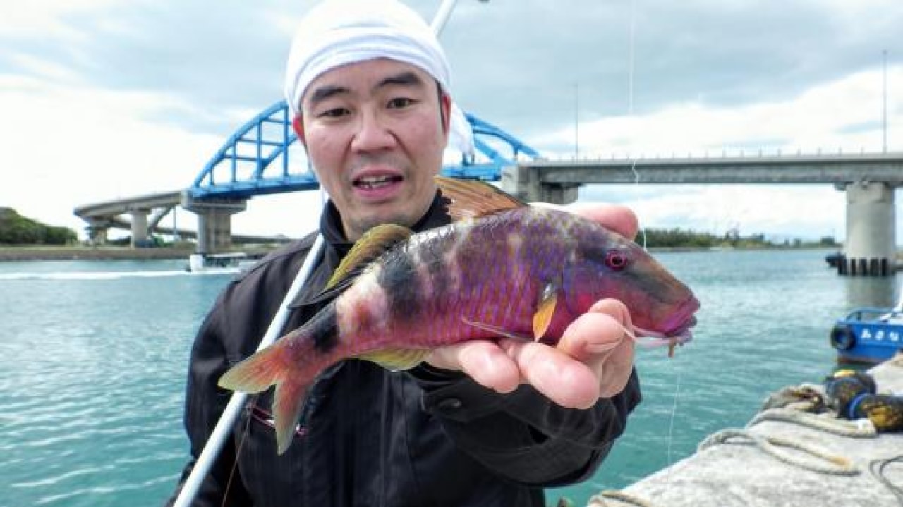 釣れた魚と旨い酒 日本全国釣り行脚 沖縄県石垣島 登野城漁港産オジサン リアルライブ